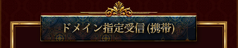 ドメイン指定受信(携帯)